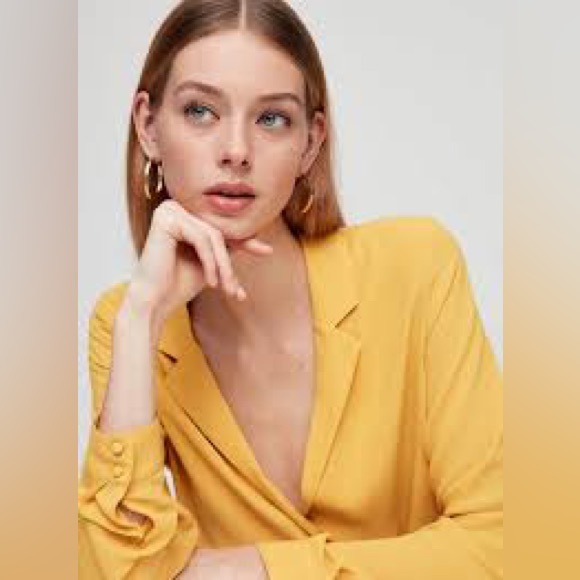 BNWT-  Babaton Brett Blouse - Acacia - Picture 5 of 6